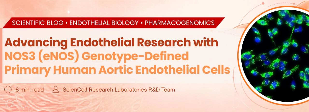 Endothelial Blog