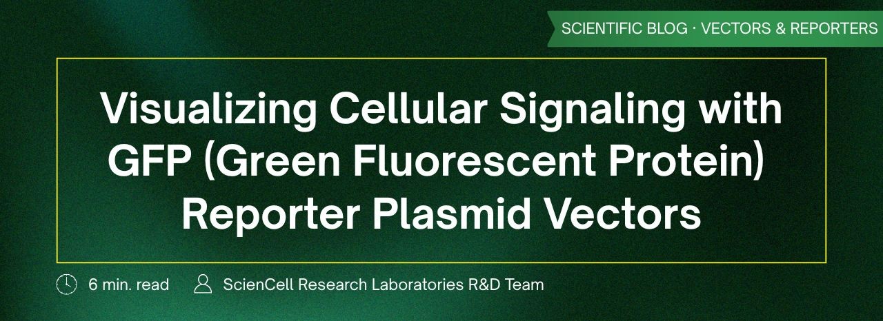 GFP Reporter