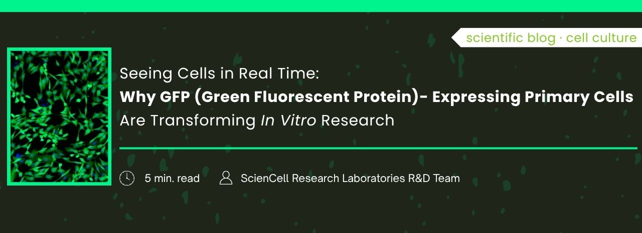 Why GFP (Green Fluorescent Protein)?