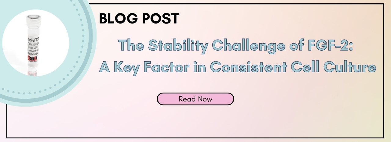 Stability Challenge Blog