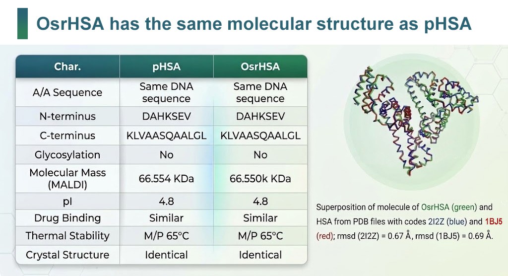 OsrHSA has the same molecular structure as pHSA
