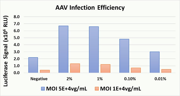 AAV Infection Efficiency