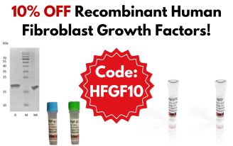 Get 10% off Recombinant Human Fibroblast Growth Factors