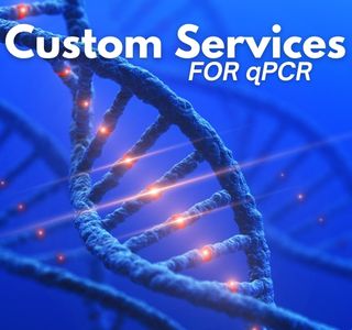 Custom Services for qPCR