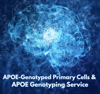 APOE Genotyping Service