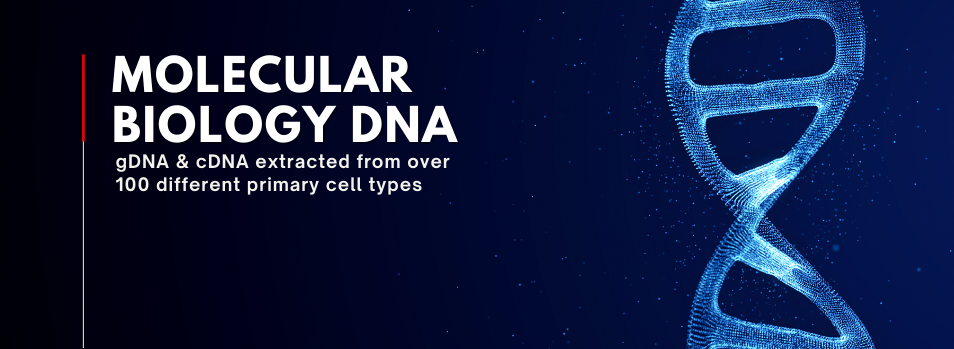 molecularbio-DNA-featuredimage-categorypage