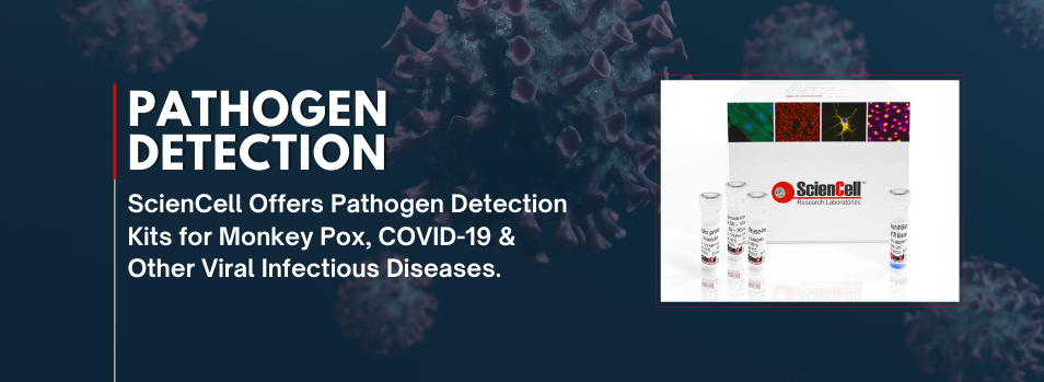 pathogendetection-featuredimage-categorypage
