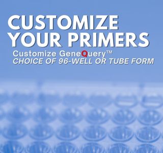 Custom qPCR Array Kit