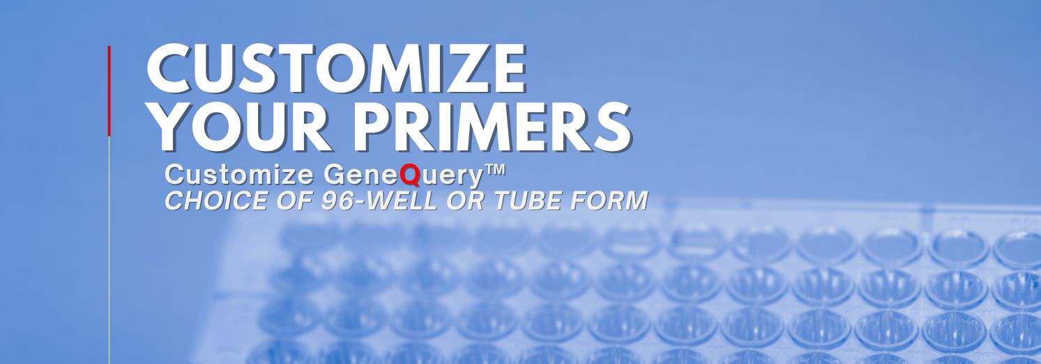 Customize-your-primers-GeneQuery