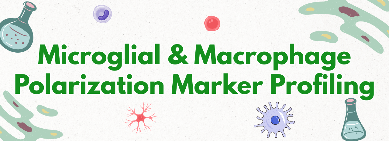 Microglial & Macrophage Polarization Marker Profiling Microglial & Macrophage Polarization Marker Profiling