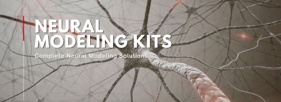 Neural Modeling Kits Neural Modeling Kits