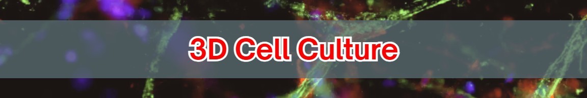 3dcellculture