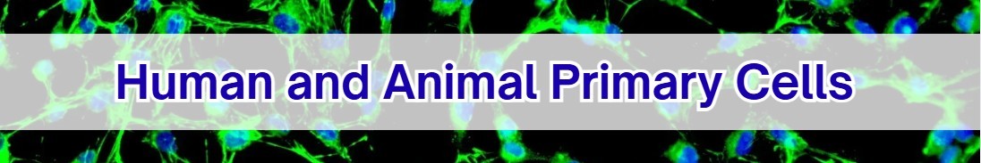 primarycells