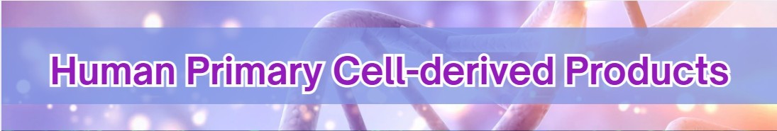 humanprimarycellderived