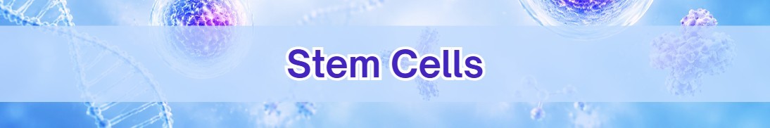 stemcell