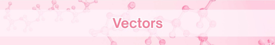 vector