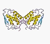 Colony Stimulating Factors 
