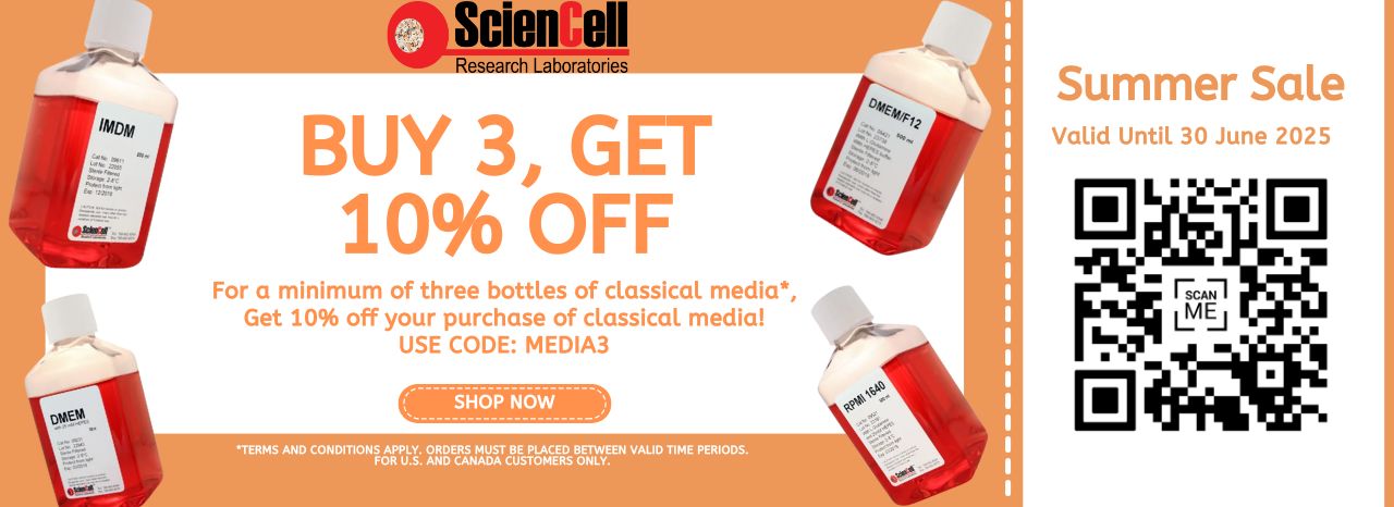 Buy 3, Get 10% off Buy 3, Get 10% off