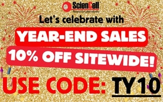 10% Off Year End Sale