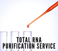 Total RNA Purification Service
