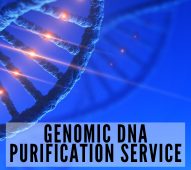 Genomic DNA Purification Service