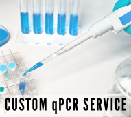 Custom qPCR Service