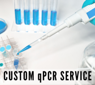 定制 qPCR 服务