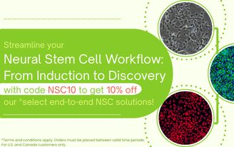 Get 10% off Our Complete Neural Stem Cell Workflow This March! Get 10% off Our Complete Neural Stem Cell Workflow This March!
