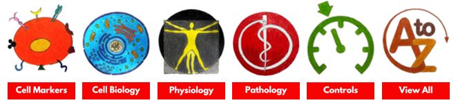 Interested in a custom order? qPCR Ready Plates with up to 96 genes